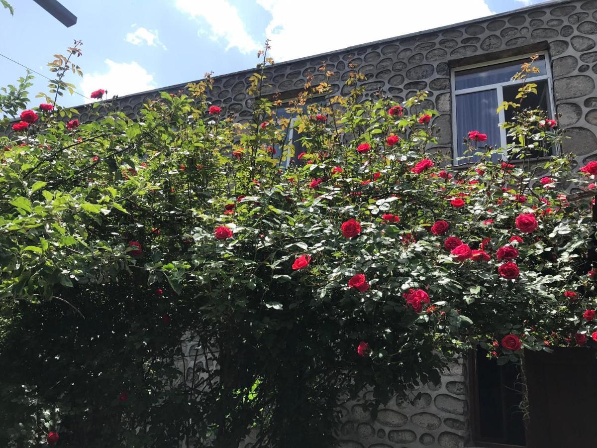 Mthnadzor Hotel Goris Exterior foto